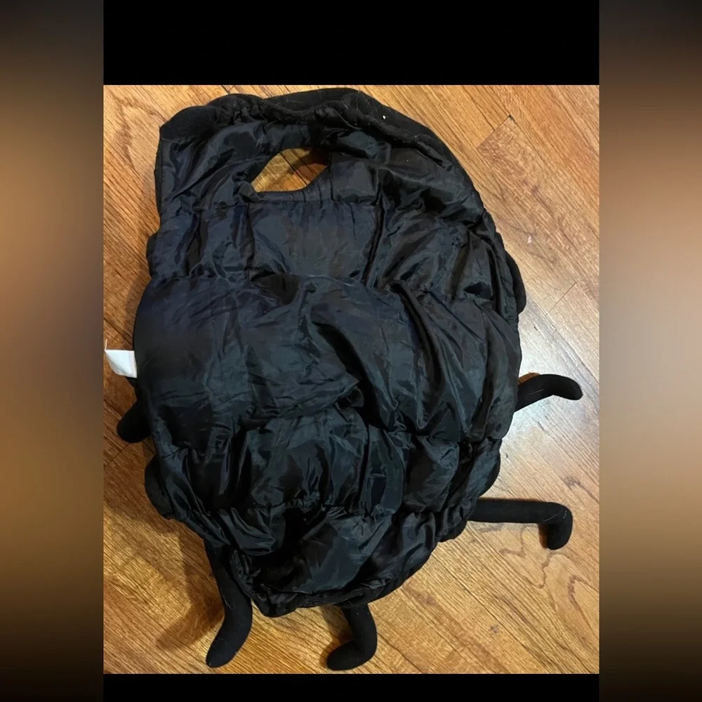 Black spider costume for small dog see pictures